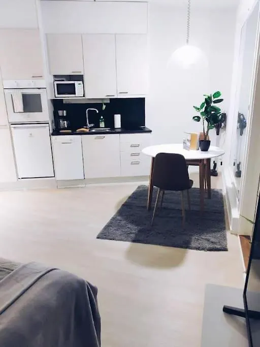 New Studio Mint Near Airport Vantaa